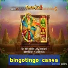 bingotingo canva pro gratis